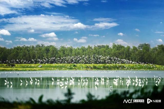 “南沙旭日”获评羊城八景，20公里海岸线绘就湾区新画卷