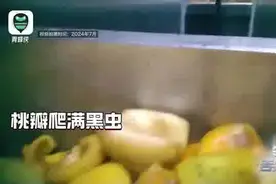黄桃罐头生产场景:桃瓣爬满黑虫 用火碱去桃毛桃皮图片