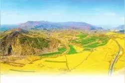 “星”耀牧野 不少一颗——新乡市持续整顿软弱涣散村党组织图片