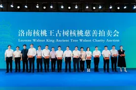 洛南核桃王古树核桃慈善拍卖会，单颗最高成交额达1.3万元图片