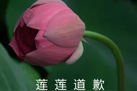 比恐龙还古老，这种像动物又像植物的神秘生物，为何能亿万年不灭？图片