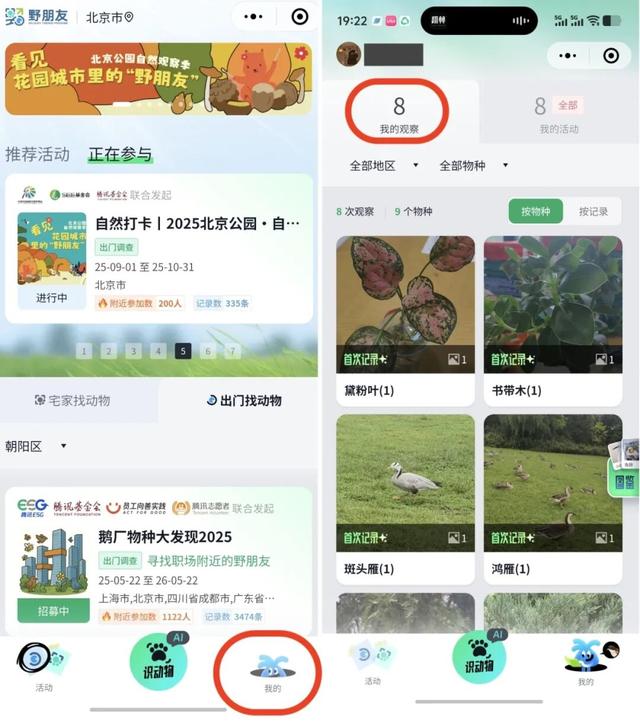 活动报名｜北京公园自然观察季 9.15-9.21 解锁秋日身边野趣～