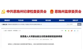 湖北宣恩县人大常委会副主任乾维德被查图片