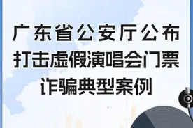 团伙以票务代理折价转让演唱会门票为幌子搞诈骗！88人落网图片