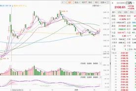 中酒协预测白酒市场回暖，2025年态势优于2024年图片