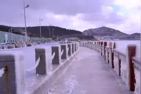 果然视频丨-9°C下的冰封奇景，威海海边又被“冻”住了图片