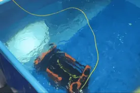 酷！应急特种机器人上线啦图片