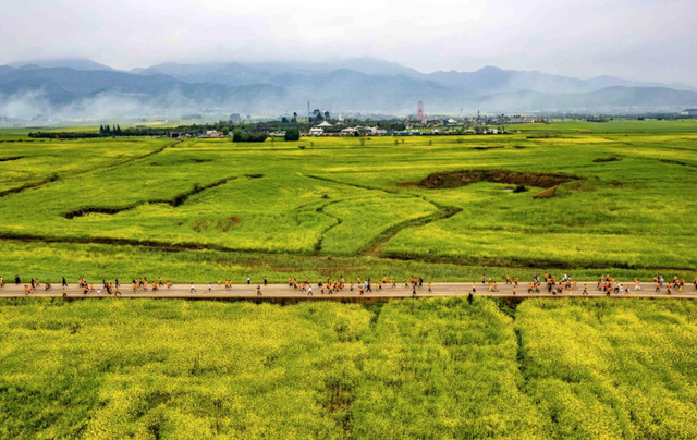 “赏花+”，赏出文旅消费新花样