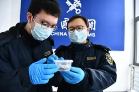 从来生死都看淡 专和关关对着干图片