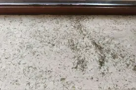白色预警！密密麻麻，杭州已有小区出现！重要提醒收好图片