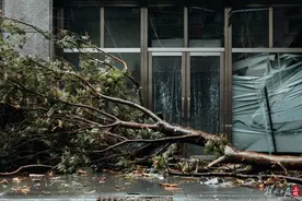 从接到报案电话到赔款到账只用8分钟，“普拉桑”过境，上海保险业再战台风图片