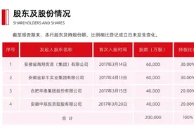 安徽新安银行股权变更获批，合肥兴泰金控成第一大股东图片