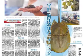 党报记者八闽调研行丨鲎是什么物种，为何需要解救它？图片