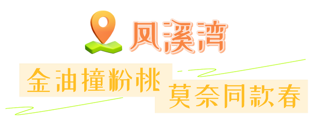 清明去哪玩？来黄陂 “榨" 出一整个春天！