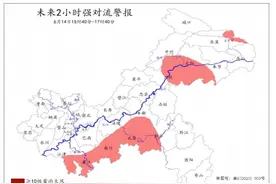 大风！局地11级以上！强降水！重庆发布强对流警报图片
