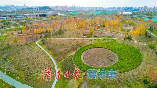 一年四季 泉在济南丨济钢片区中央森林公园初冬如画