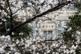 武大参观无需预约，校园开放有哪些作业可抄？| 新京报快评图片