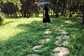 校园石磨路，一缕乡愁伴书香图片