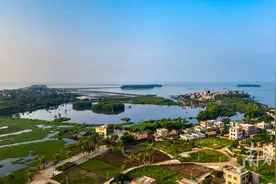 天上人间，春风都来图片