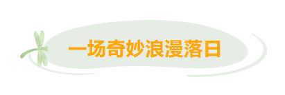 大湾区“绿道天花板”绝绝子！央视新闻也为东莞滨海湾“打call”