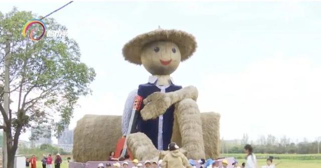 快来打卡！昆明福保半岛千亩稻田超出片