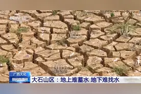 新挖水井+人工增雨 广西各地多举措应对旱情图片