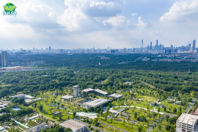 《珠江》里，藏着这么多广州海珠“宝藏”