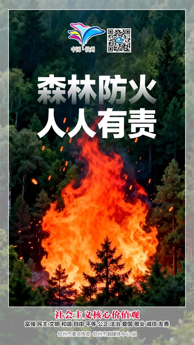 转扩！钦州蚝情节高清大图