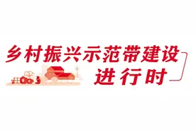 登山瞰城景 城中观山色 城关区为“烟雨兰山”乡村振兴示范带建设筑牢绿色屏障图片