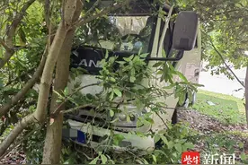 两车都要担责任！无信号路口左转未让直行，直行未注意观察——图片