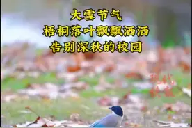 南京这个大学校园，蕴含超多陶行知元素图片