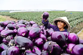 春天“丰”景图片