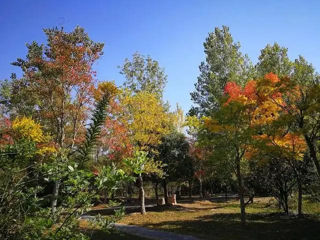 别再问周末去哪了!郑州这些宝藏公园不可错过→