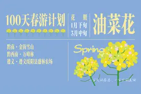 花海激活春日经济，这份100天春游计划带你遍赏贵州花图片