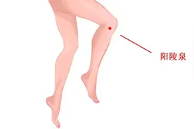 胆经一通，疾病无踪！图片