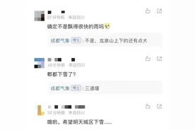 冷！冷！冷！成都今天下雪了！图片