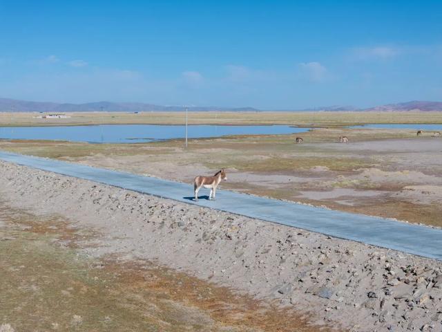 中国“最美”自驾线路，比G318更顶级