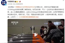 实用帖！假期出行忘带身份证咋办图片