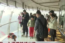 上海：入境游持续火热 “科技+文化”组合拳让外国游客直呼“玩不够”视频封面