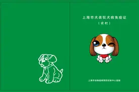免费为爱犬补种狂犬疫苗！时间安排图片