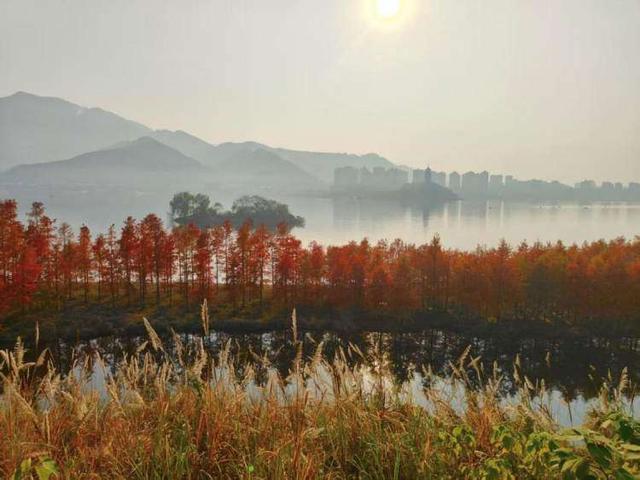 串联生态与文脉 到开州汉丰湖解锁文旅新体验