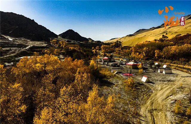 酒泉阿克塞多坝沟胡杨峡　隐藏着大西北的极致秋色