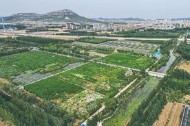 舍弃一时利益，换来鸥翔水美——山东东平湖生态蝶变一线观察图片