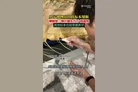 古生物标本被掰断“肋骨”，博物馆呼吁：做文明观展人图片