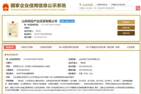 山东铁投成立产业投资公司，年内已整合成立3家企业图片