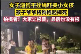 宠物狗不牵绳吓哭小孩被摔死，不能闹出事来才想起文明养狗图片