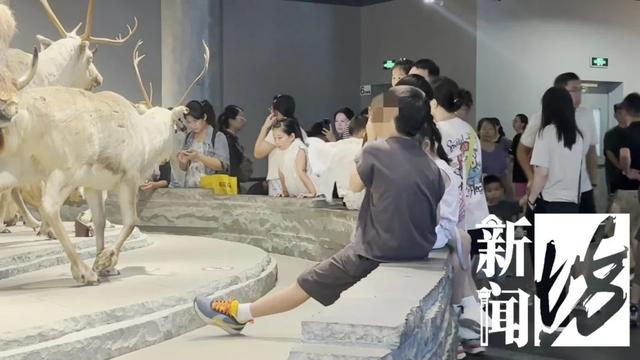 上海自然博物馆内多名儿童翻越禁区，家长还在旁鼓励？志愿者：曾有活体被摸死