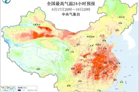 已连续高温12天！上海人挺住：出伏后更热图片