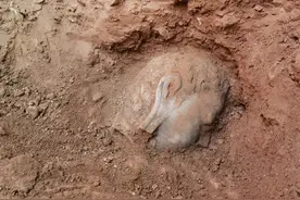 龙门石窟洞窟墙壁内首次发现石刻造像，出土圆雕佛头头像保存完整图片