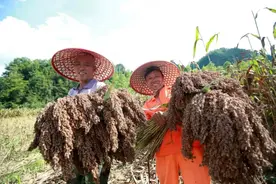 【都匀两会】凝心聚力务实为民   民生福祉持续增进图片